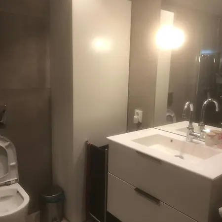 Penthouse Central In Oslo